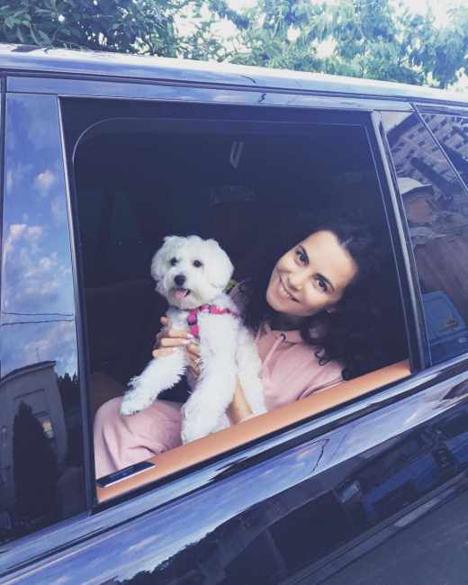 Четвероногие друзья украинских селебретис: топ-10 звездных песиков